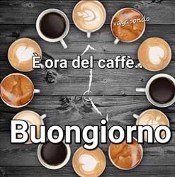 Venotra food e beverage, Pesaro orari di apertura