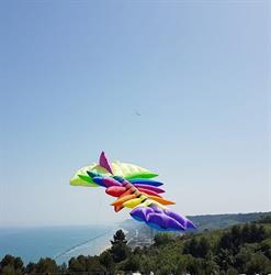 B & B happyfamily.italy, San Benedetto del Tronto orari di apertura