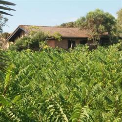 Casa Vacanze La Baita, Portopalo di Capo Passero orari di apertura