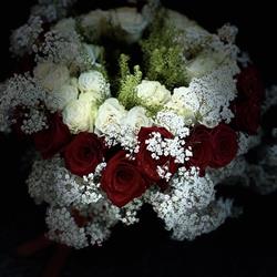 AMBRA FLOWER BOUTIQUE, Castelfranco Emilia orari di apertura