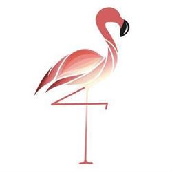 FLAMINGO - Pilates & Wellness, Roma orari di apertura