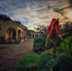 Ristorante-Pizzeria Sa Casara, Banari orari di apertura
