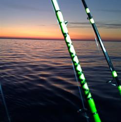 CVT Fishing Team, Roma orari di apertura