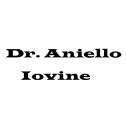 Dr. Aniello Iovine, Grumo Nevano orari di apertura