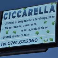 Ciccarella Srl, Ronciglione orari di apertura