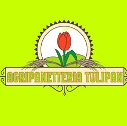 Agripanetteria Tulipan - Az. Agricola Montrucchio Elisa, Antignano orari di apertura