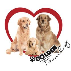 Golden Family, Sona orari di apertura