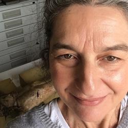 Opificio di Barbara Pettazzoni Laboratori di conservazione e restauro beni culturali, Modena orari di apertura