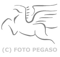 Pegaso Newsport di Paolo Rattini, Genova orari di apertura