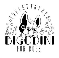 Bigodini for dogs, Pianezza orari di apertura