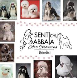 Senti Chi Abbaia luxury&spa, Brindisi orari di apertura