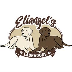 Eliangel's Labradors, Sassoferrato orari di apertura