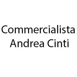 Commercialista Andrea Cinti, Roma orari di apertura