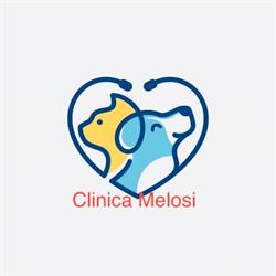Clinica Veterinaria Melosi, Cecina orari di apertura
