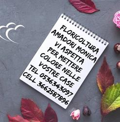 FLORICOLTURA AMADORI MONICA, Lama Mocogno orari di apertura