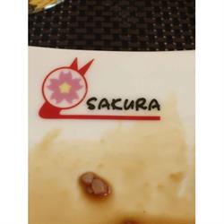 Sakura Sushi Bar Restaurant, Grosseto orari di apertura