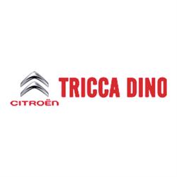 Auto Tricca, Sansepolcro orari di apertura