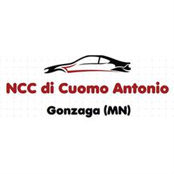 Cuomo Antonio - NCC Servizio Taxi, Gonzaga orari di apertura