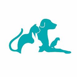 Ambulatorio Medico Veterinario dott.ssa Ariella Casanova, Enemonzo orari di apertura