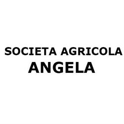 Società Agricola Angela, Fauglia orari di apertura