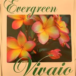 Vivaio Evergreen, Ardea orari di apertura