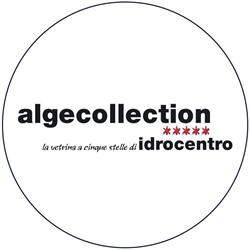 Algecollection Showroom Alba, orari di apertura