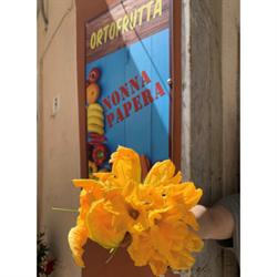 L'Orto di Nonna Papera, San Terenzo orari di apertura
