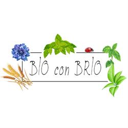 Bio con Brio, Poggibonsi orari di apertura