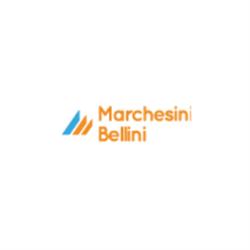 Marchesini Bellini Commercio Acqua e Bevande, Guidizzolo orari di apertura