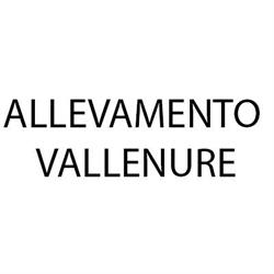 Allevamento Vallenure, Podenzano orari di apertura