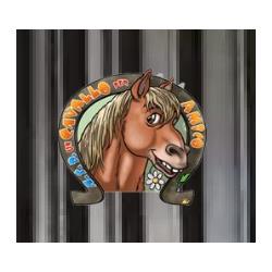 Un Cavallo per Amico, Terni orari di apertura