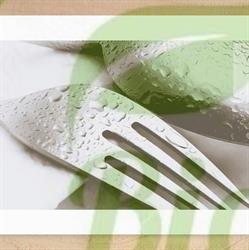 Il Mio Capriccio Ristorante Pizzeria, Pisa orari di apertura