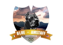 Blue Valley Farm s.n.c., Andalo Valtellino orari di apertura