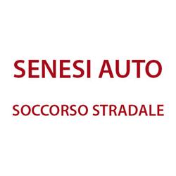 Senesi Auto - Soccorso Stradale, Sansepolcro orari di apertura