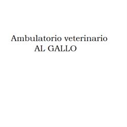 Ambulatorio Veterinario al Gallo, Resana orari di apertura