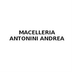 Macelleria Antonini Andrea, Preci orari di apertura