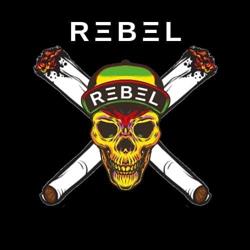 Rebel Grow Shop, Vigevano orari di apertura