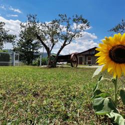Agriturismo La Casa Vecchia, Padula orari di apertura