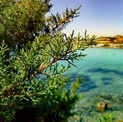 Le Stanze del Mare, Golfo Aranci orari di apertura