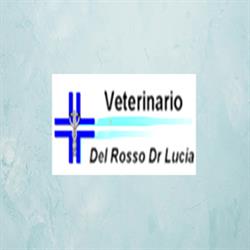 Ambulatorio Veterinario di Lucia Del Rosso, Campiglione orari di apertura