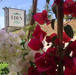 EDEN di Mario De Tommaso, Pontelandolfo orari di apertura