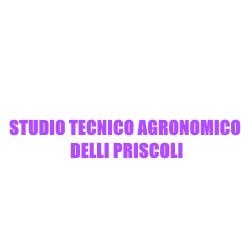Studio Tecnico Agronomico Delli Priscoli, Baronissi orari di apertura