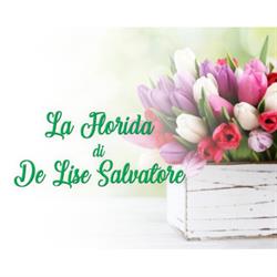 La florida, Valle di Maddaloni orari di apertura