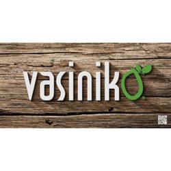 Vasinikò, Bologna orari di apertura