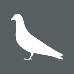 Animall.it - Ivana Racing Pigeon, Bolgare orari di apertura