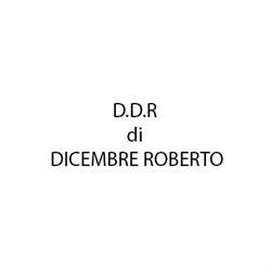 D.D.R Roberto di Dicembre, Alba orari di apertura