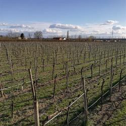 Società Agricola Le Querce, Modena orari di apertura