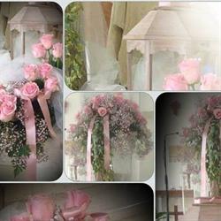 Il Mondo Dei Fiori di Sandra Adiutori, Cetraro orari di apertura