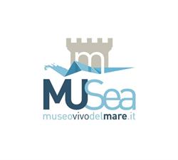 MuSea - Museo Vivo del Mare di Pioppi, Pollica orari di apertura