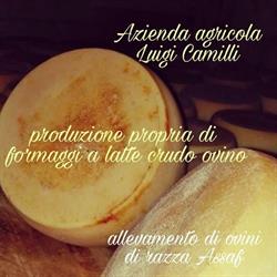 Az. Agricola Luigi Camilli, Palombara Sabina orari di apertura